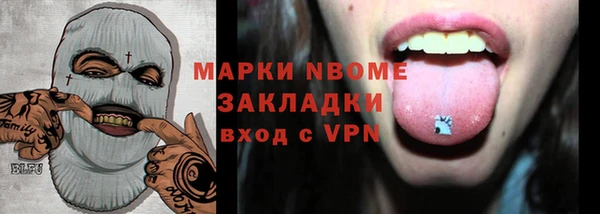 индика Лабытнанги