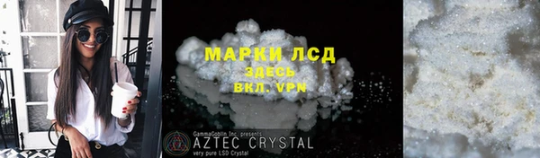 крисы Кулебаки