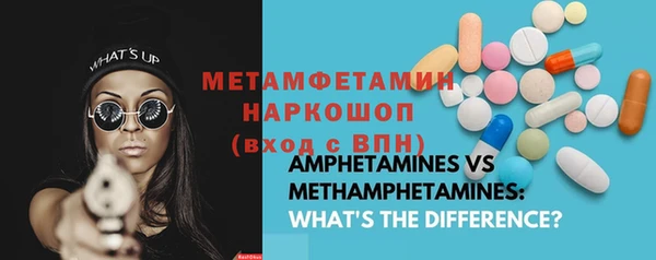 индика Лабытнанги