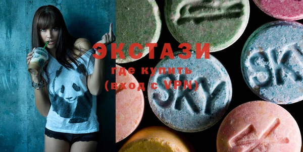 ECSTASY Лагань