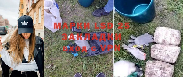 индика Лабытнанги