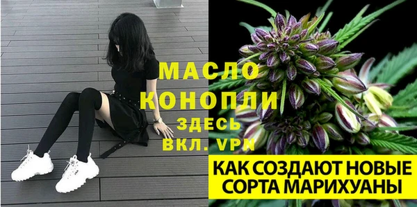 ECSTASY Лагань