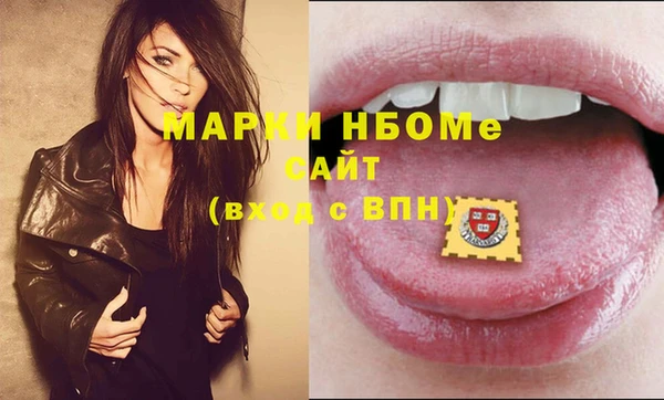 ECSTASY Лагань