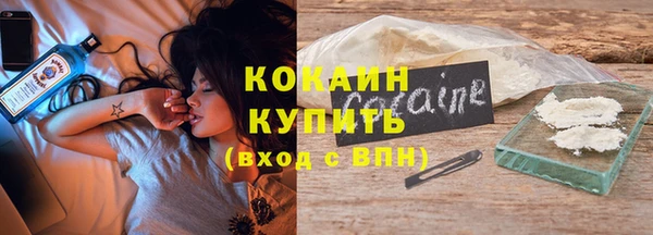 индика Лабытнанги