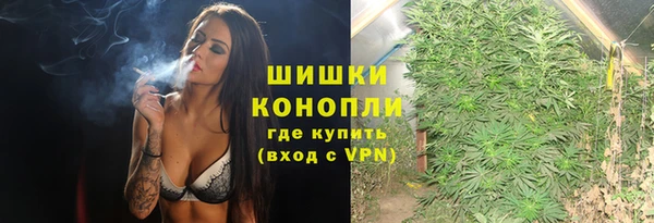 ECSTASY Лагань