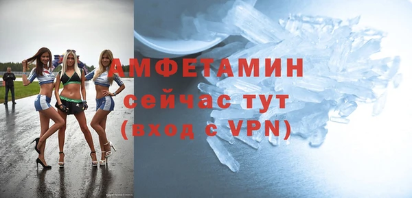 индика Лабытнанги